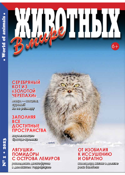 � ���� �������� / World of Animals. �������� ������