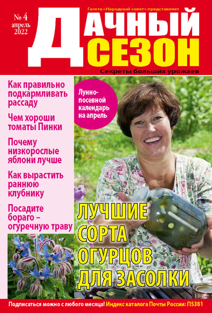 ������ ����� - ������ ���������