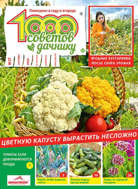 1000 ������� ������� (������). �������� ������